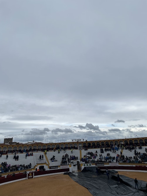 Así hemos narrado en directo el primer festejo de la feria de Olivenza