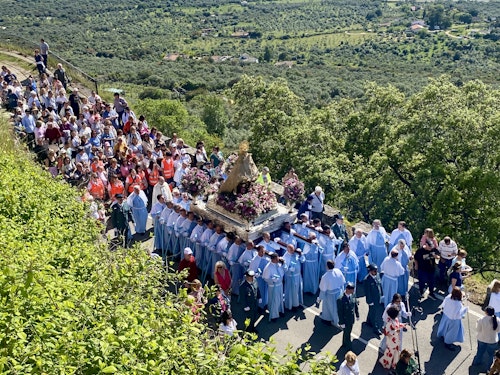 Así hemos narrado la bajada de la Virgen de la Montaña a la ciudad