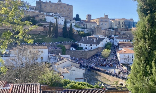 Así hemos narrado la bajada de la Virgen de la Montaña a la ciudad