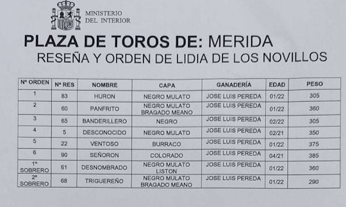 Así hemos narrado la novillada de Mérida