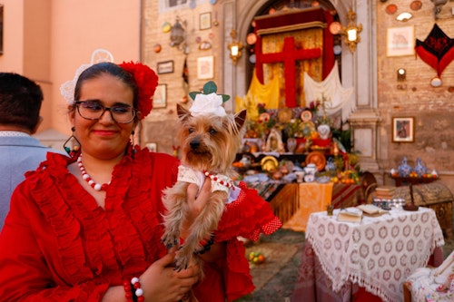 En directo | Día de la Cruz en Granada