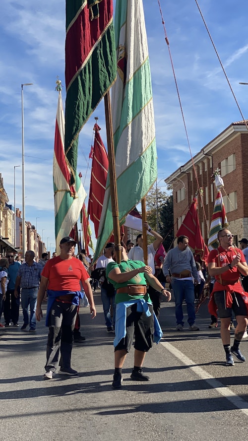 Sigue en directo la romería de carros y pendones de San Froilán a La Virgen del Camino