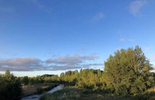 Así te hemos contado en directo tres semanas de incendios en León