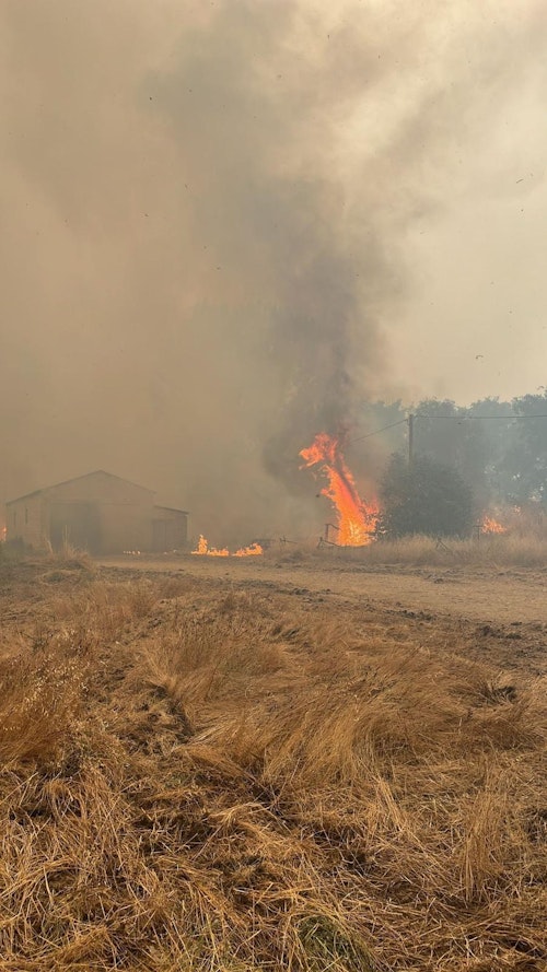 Dos nuevas evacuaciones en León: Torneros de Jamuz y Robledino de la Valduerna