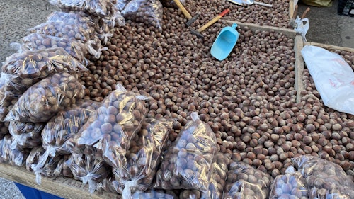 Sigue en directo la romería de carros y pendones de San Froilán a La Virgen del Camino