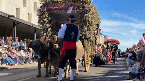 Sigue en directo la romería de carros y pendones de San Froilán a La Virgen del Camino