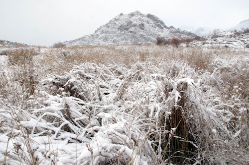 Sigue en directo toda la información sobre el temporal de nieve en León