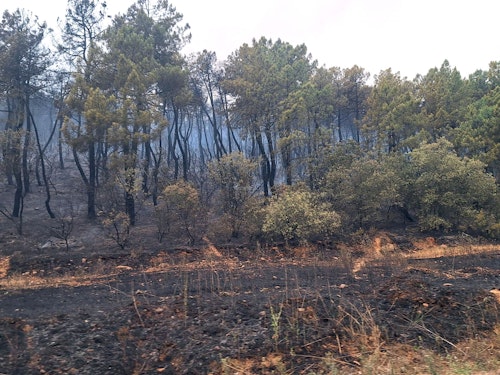 Dos nuevas evacuaciones en León: Torneros de Jamuz y Robledino de la Valduerna