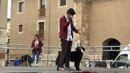 Así te hemos contado en directo una jornada de San Froilán marcada por la lluvia
