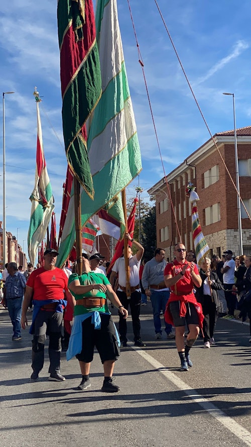 Sigue en directo la romería de carros y pendones de San Froilán a La Virgen del Camino