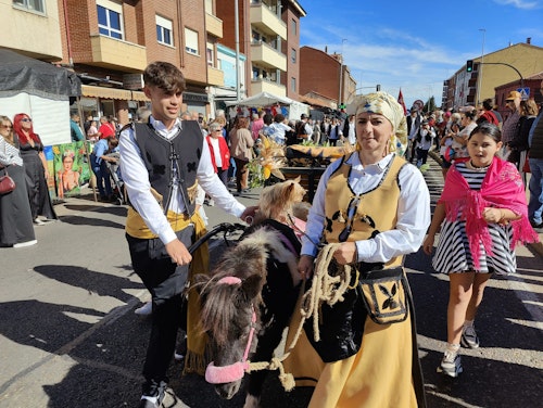 Sigue en directo la romería de carros y pendones de San Froilán a La Virgen del Camino