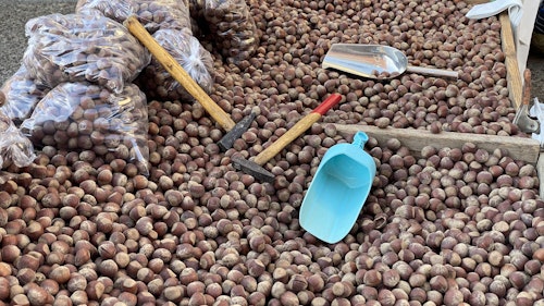 Sigue en directo la romería de carros y pendones de San Froilán a La Virgen del Camino