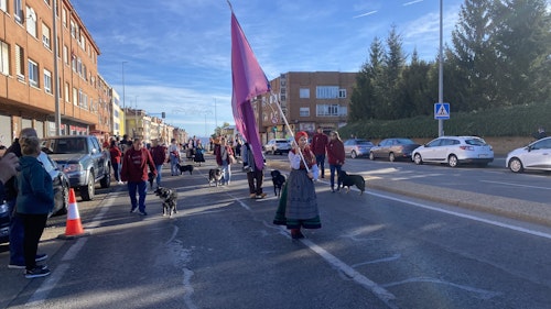Sigue en directo la romería de carros y pendones de San Froilán a La Virgen del Camino