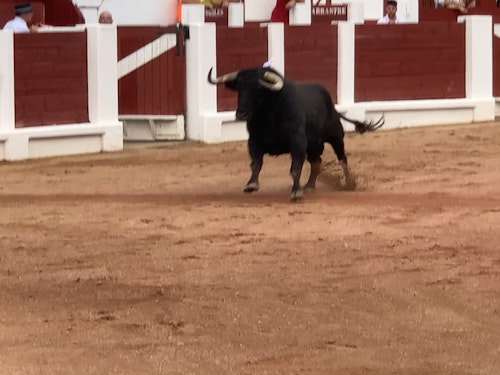 Enrique Ponce corta dos orejas en su adiós a Gijón